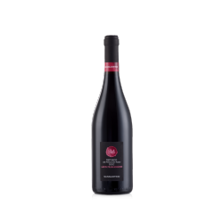 Refosco DOC Lison Pramaggiore