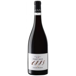 Pinot Noir Louise Dubois 1885 IGP