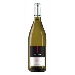 Pinot Grigio