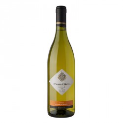 Chardonnay Paso del Sol