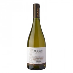 Chardonnay Magna Limited Reserve